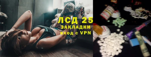 PSILOCYBIN Балабаново