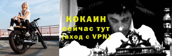 PSILOCYBIN Балабаново